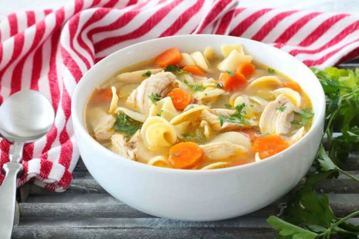 Homestyle Chicken Noodle Soup